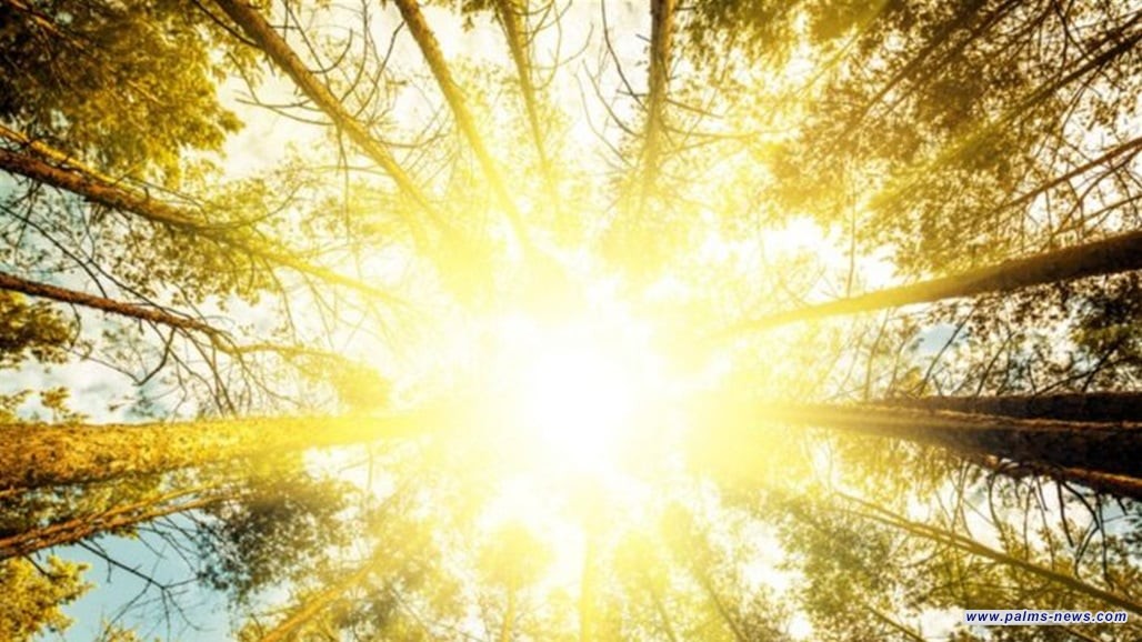 "بيع ضوء الشمس".. نقلة نوعية بمجال الطاقة